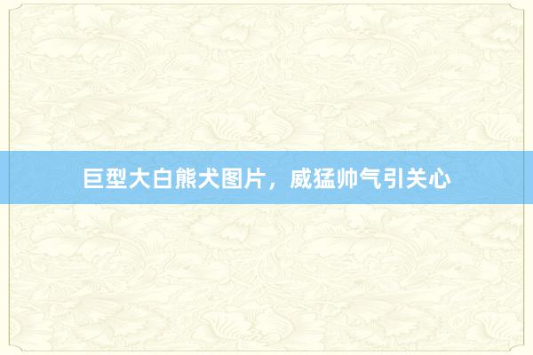 巨型大白熊犬图片，威猛帅气引关心